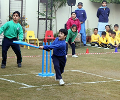 Cricket Match Competition